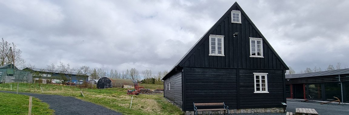Kaffispjall um húsvernd á Íslandi