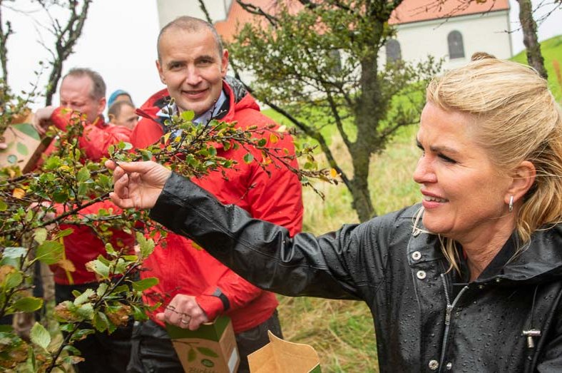 Landsmenn skundi í birkimó