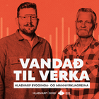 Þáttur 2 - Lagnir veikasti hlekkurinn í viðhaldi húsa