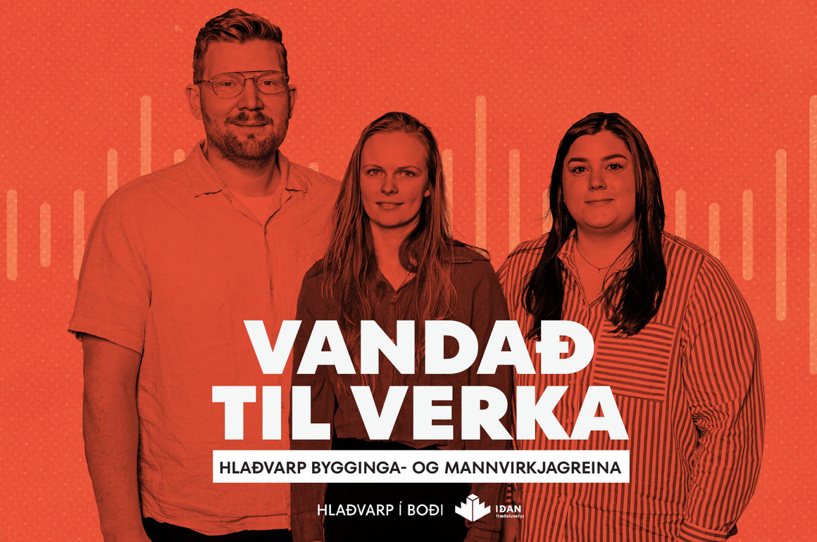 Þáttur 3 - Lífsferilsgreiningar